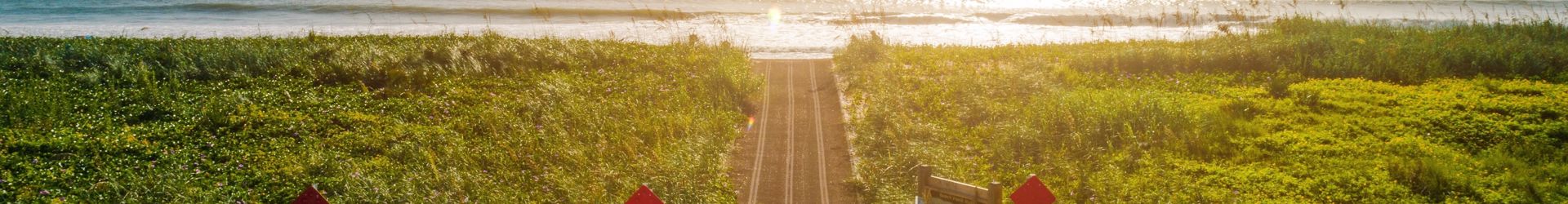 Palm Coast Shutterstock 1805835184